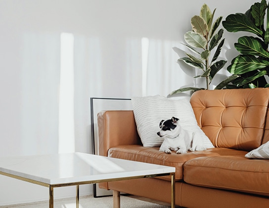 Nieuwbouowprojecten-in-hilvarenbeek