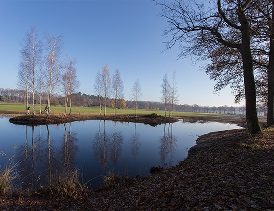Taxeren-in-hilvarenbeek